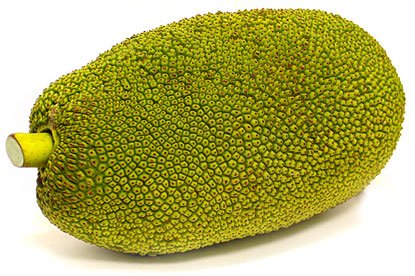 Jackfruit