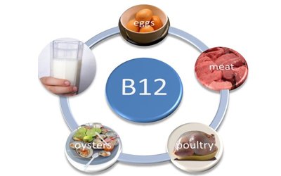 Vitamin B 12