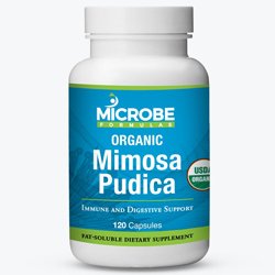 Mimosa Pudica Microbe