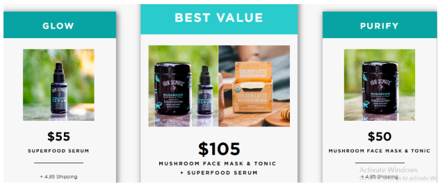 Four Sigmatic Pricing